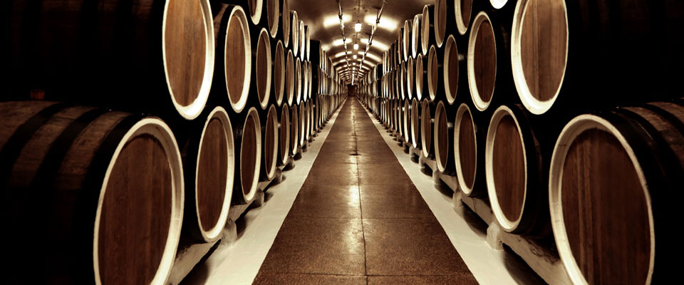 appcc bodega