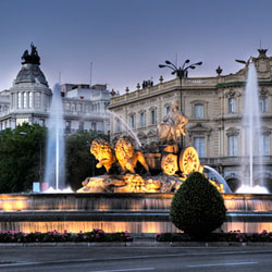 ASP Ozono en Madrid