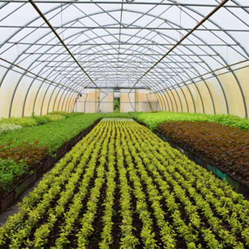 Bioestimulantes agr&iacute;colas