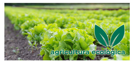 Certificado Agricultura Ecol&oacute;gica