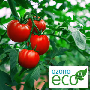 Cultivos ecol&oacute;gicos Industrias Alimentarias