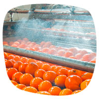 Higiene ambiental y alimentaria