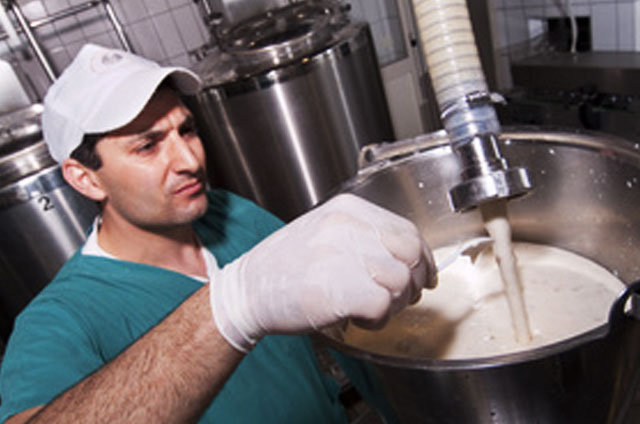 industria alimentaria