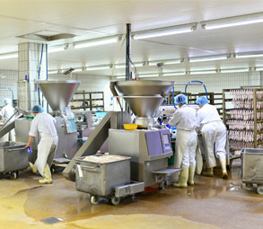 Lavado de alimentos Industrias Alimentarias