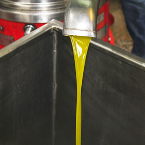 Ozono en almazaras para aceite