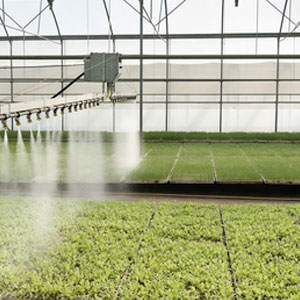 Ozono em Agricultura
