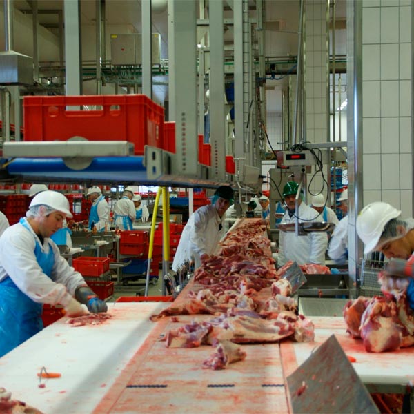 ozono para la industria c&aacute;rnica