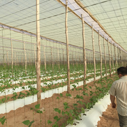 Higiene ambiental en agricultura