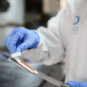 Seguran&ccedil;a e higiene alimentar e HACCP