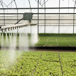 Agricultura y postcosecha