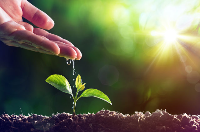 tratamientos agricultura ecologica